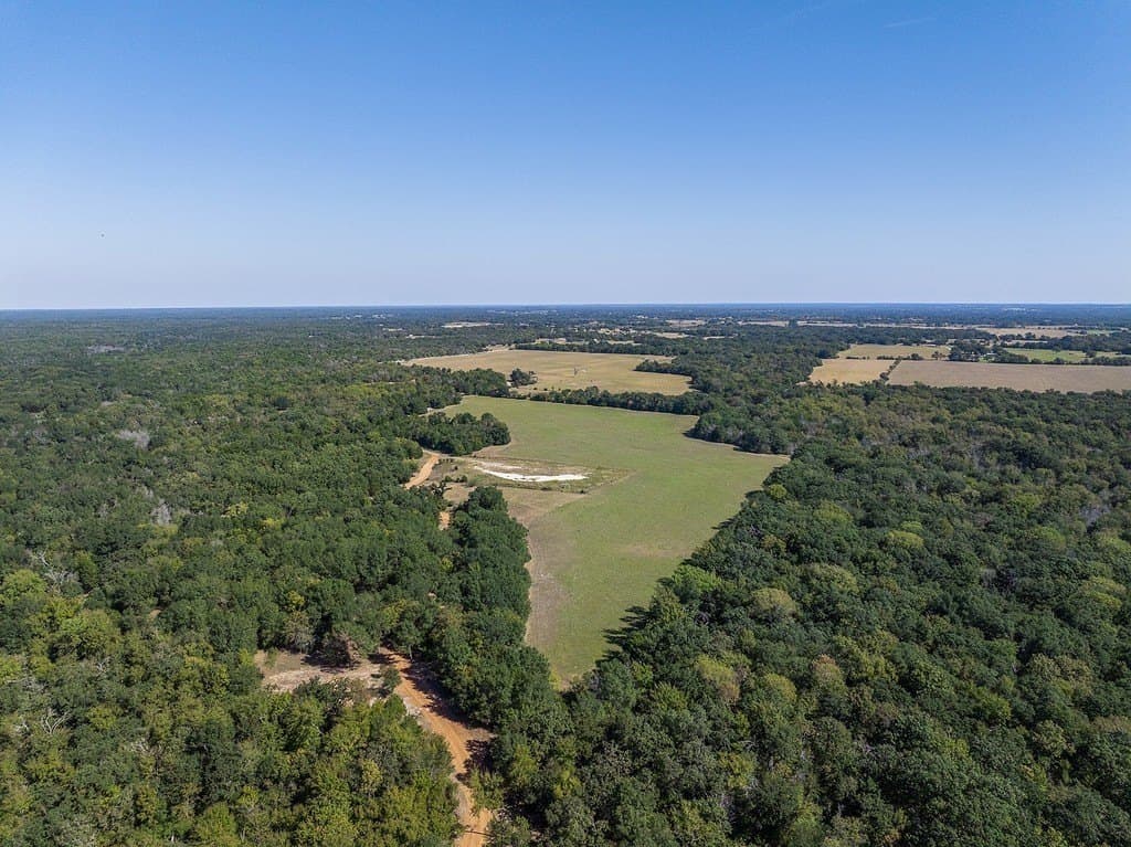 325 acres in Limestone County - photo 21