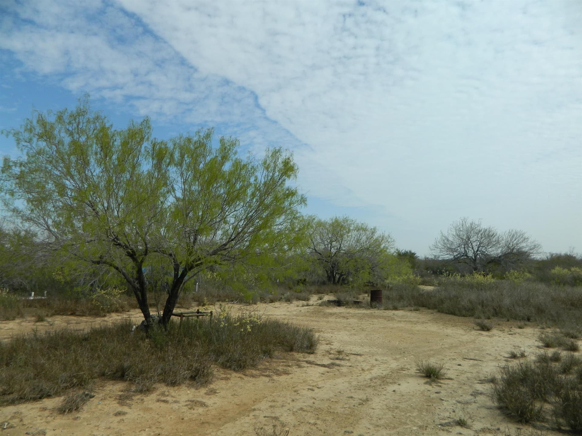 20.31 acres in Webb County - photo 2