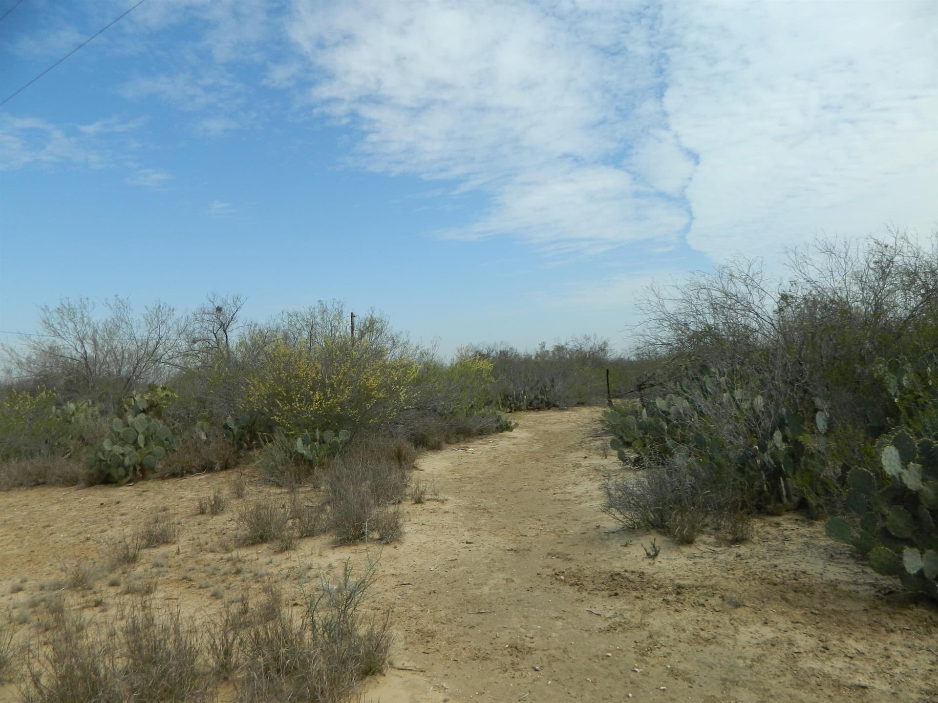 20.31 acres in Webb County - photo 3