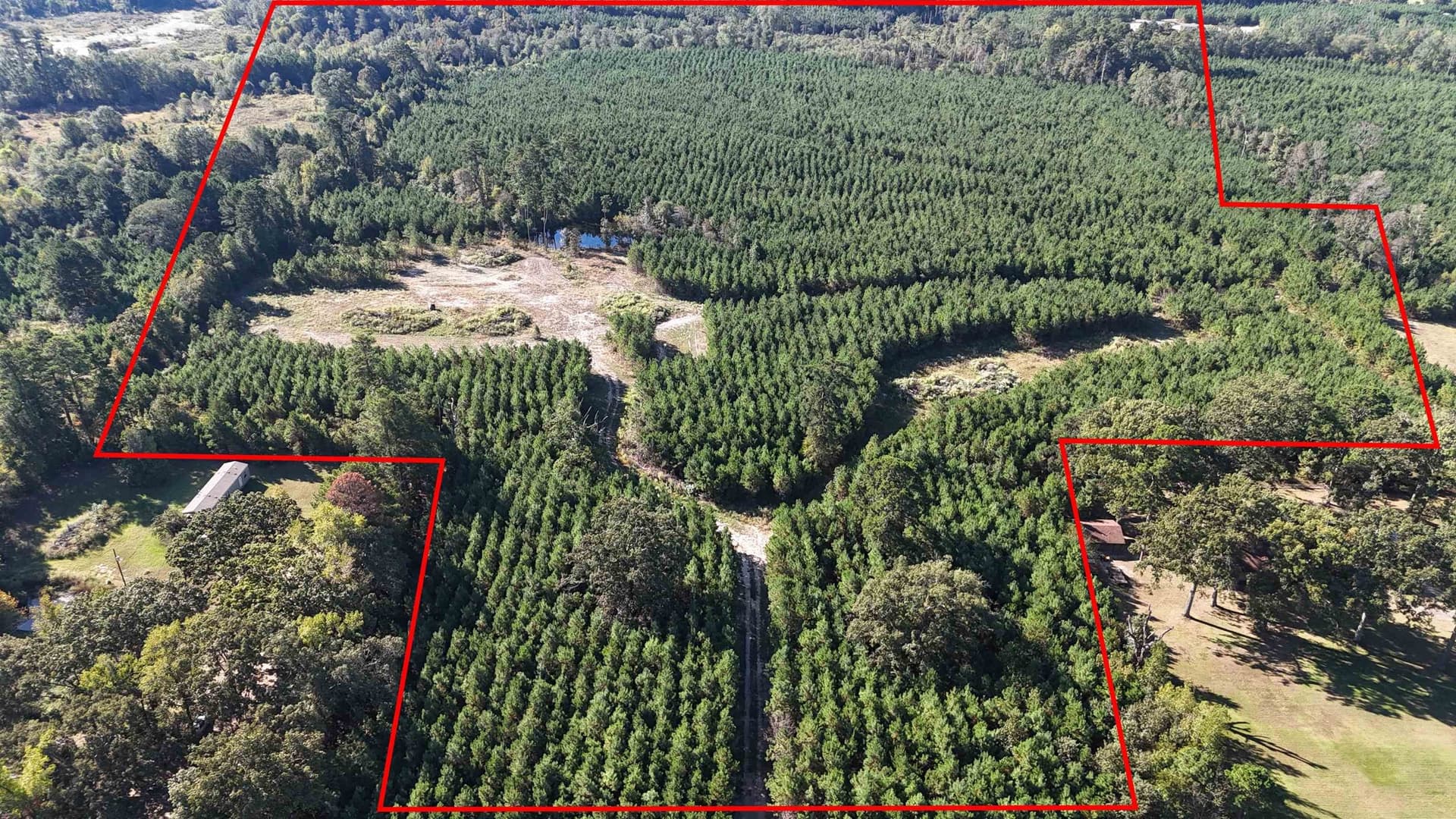 28 acres in Marion County - photo 4