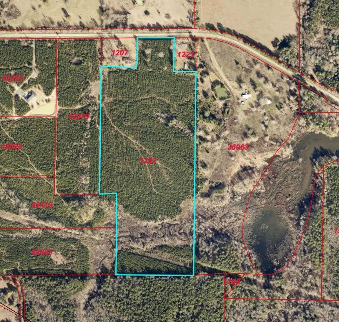 28 acres in Marion County - photo 5
