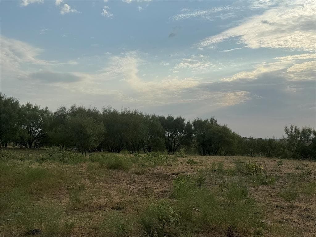 10.05 acres in Wise County - photo 6