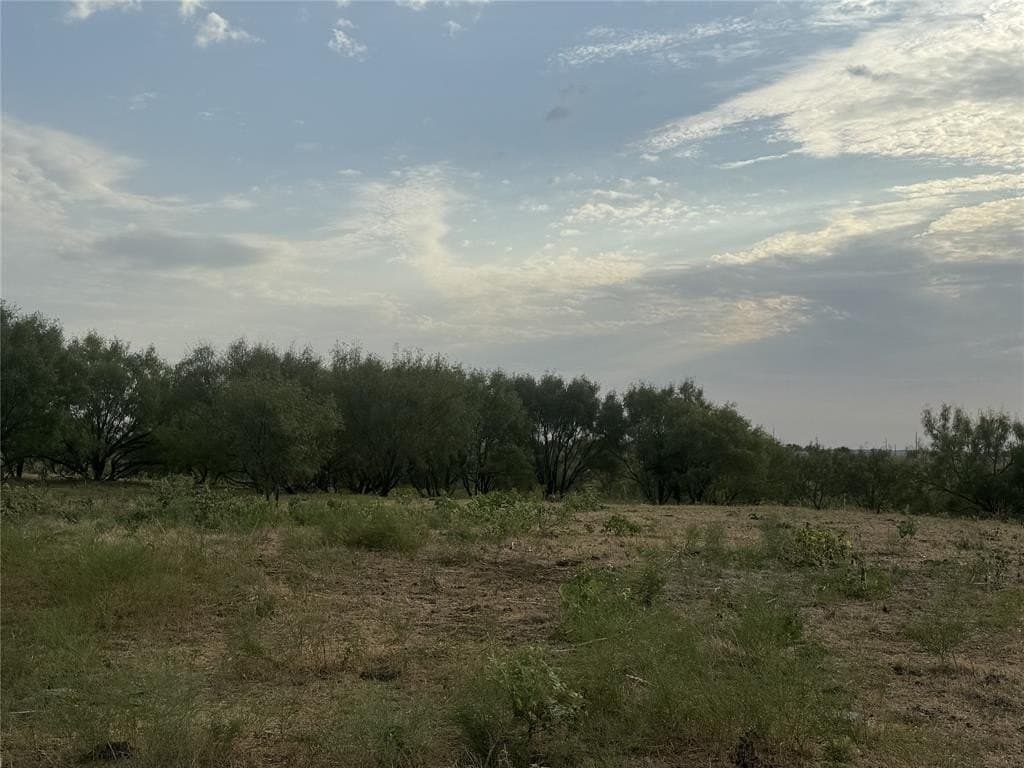 10.05 acres in Wise County - photo 5
