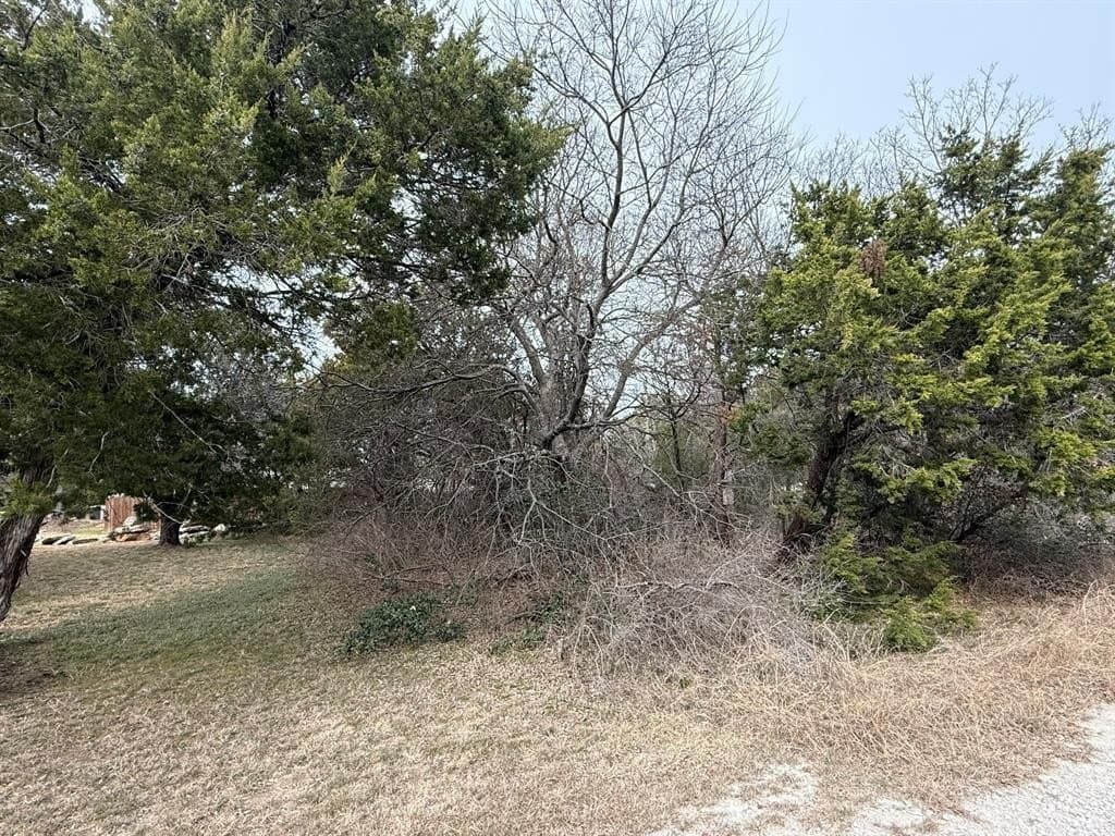 0.03 acres in Hood County - photo 2