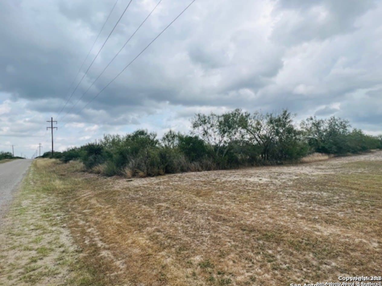 5 acres in Live Oak County - photo 4