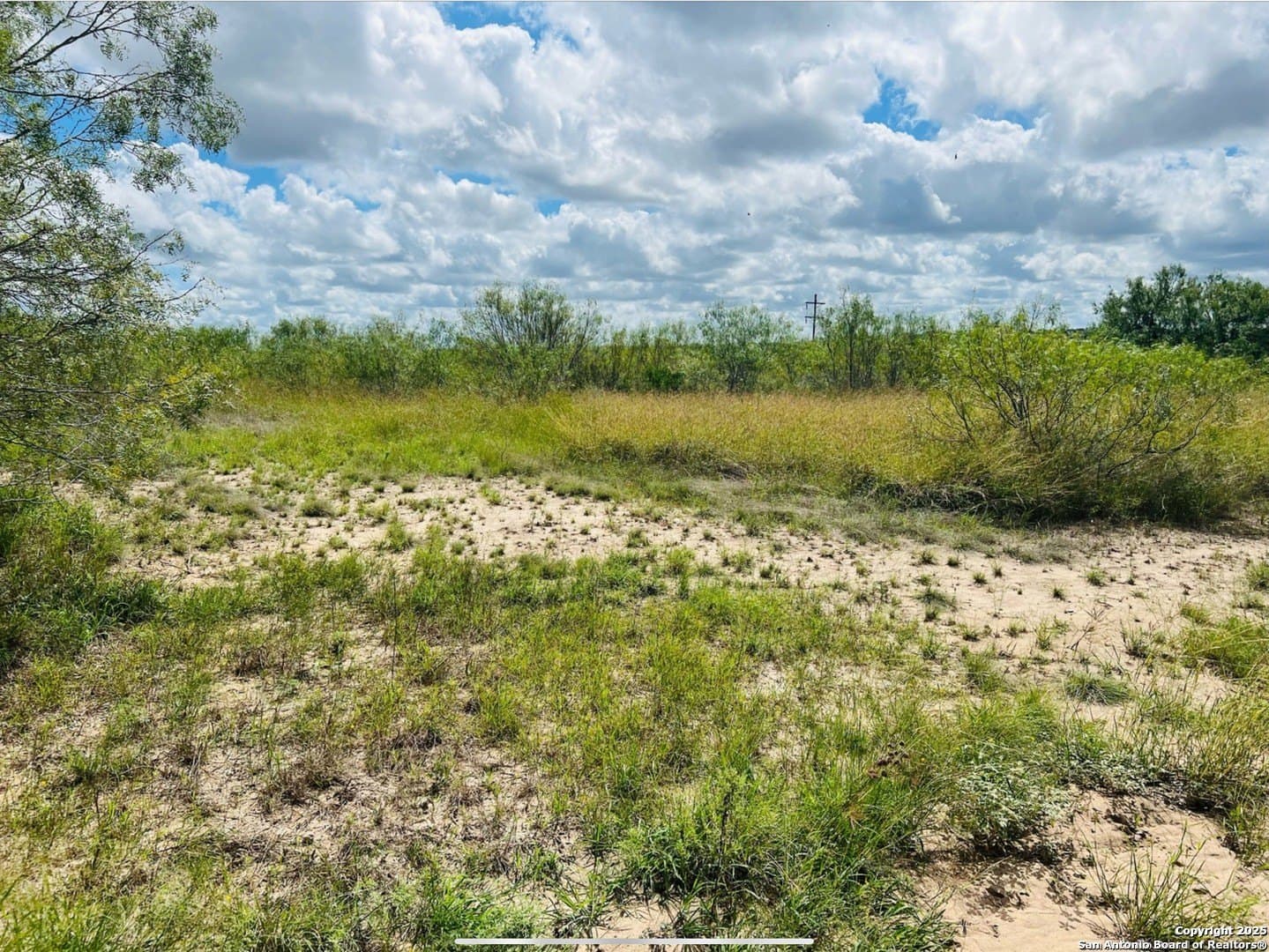 5 acres in Live Oak County - photo 2