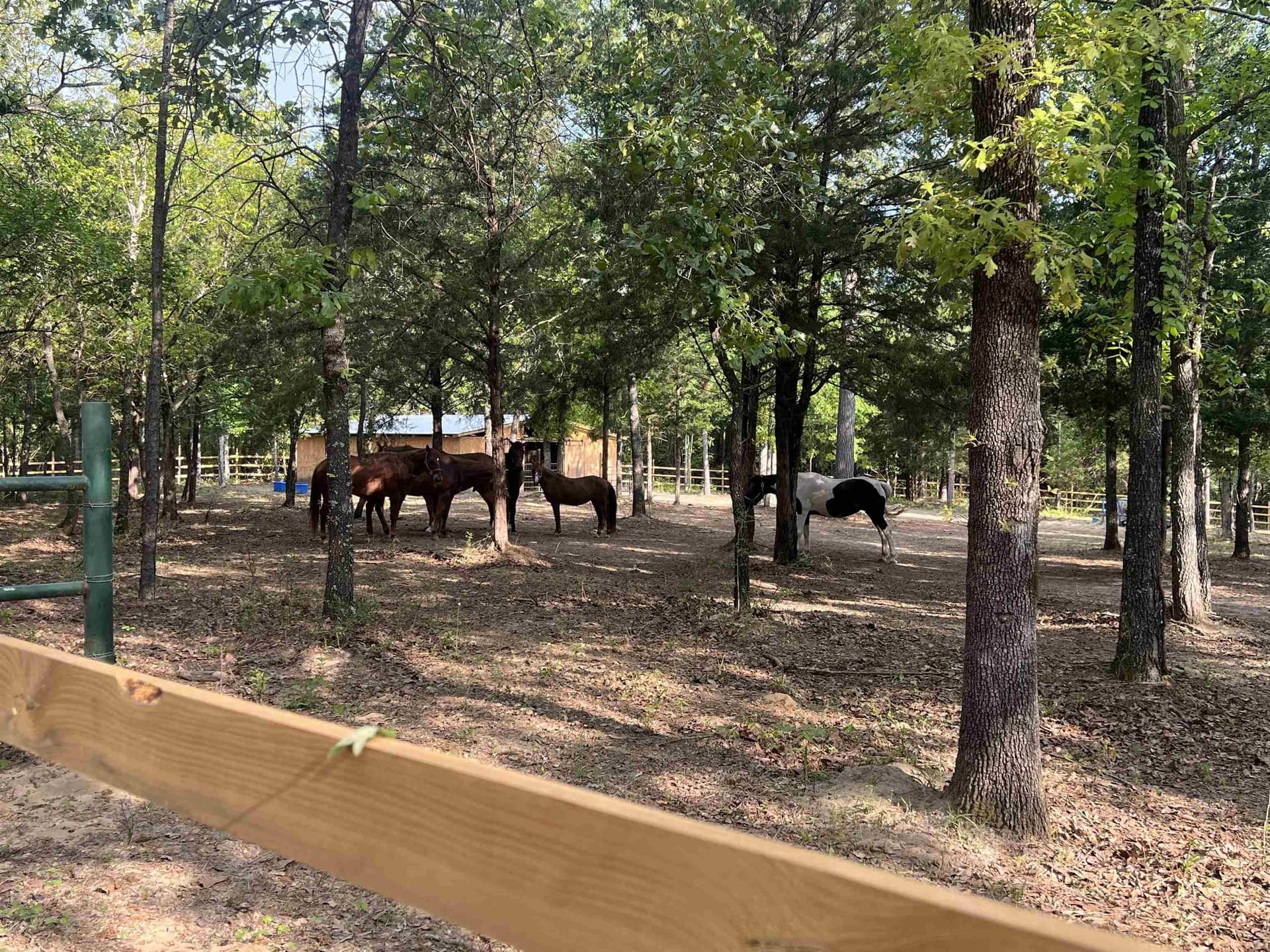 54.75 acres in Rusk County - photo 3