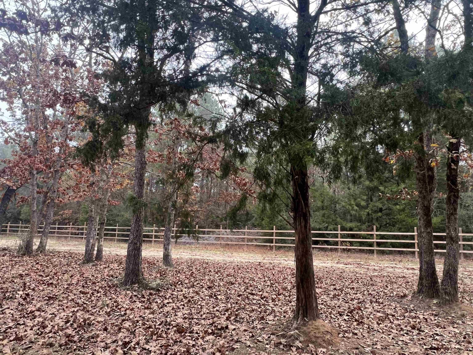 54.75 acres in Rusk County - photo 8
