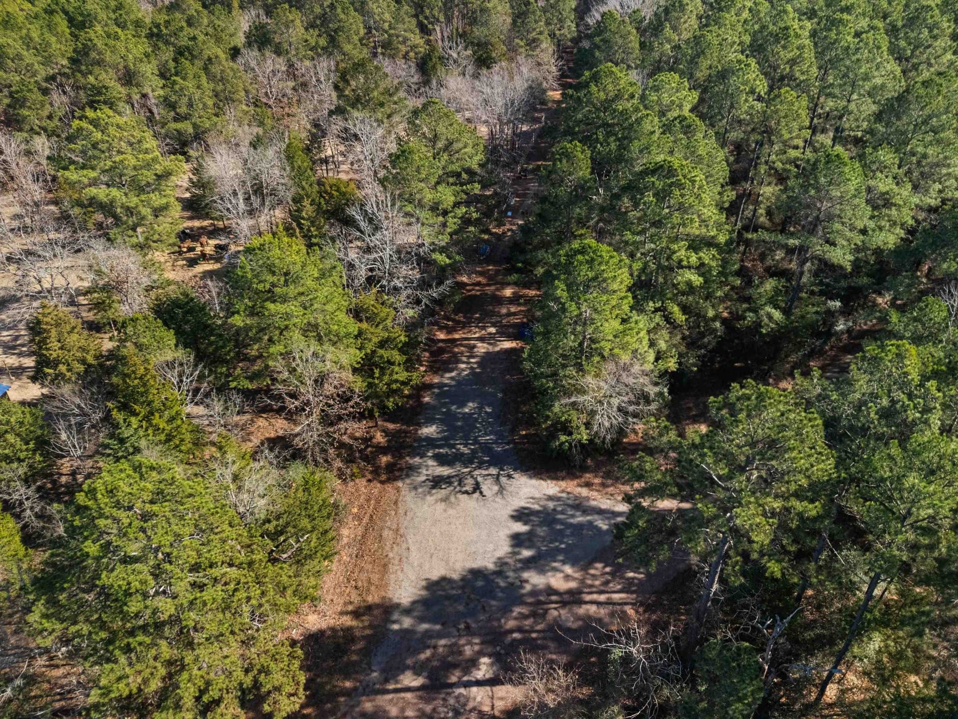 54.75 acres in Rusk County - photo 24