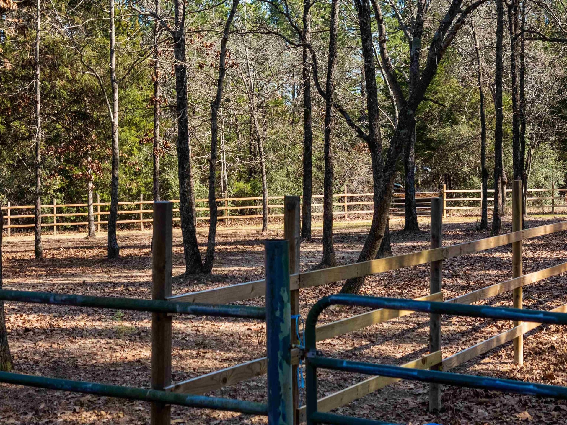 54.75 acres in Rusk County - photo 10
