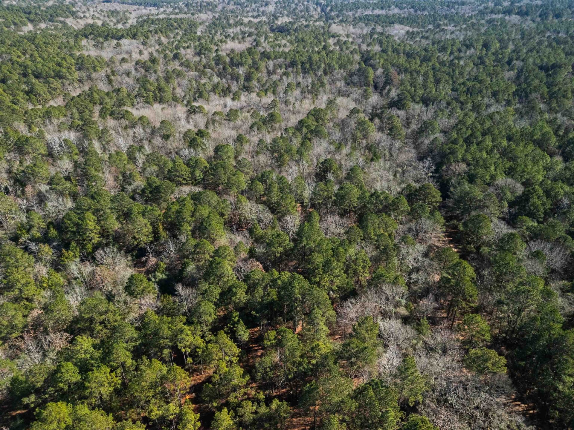 54.75 acres in Rusk County - photo 17
