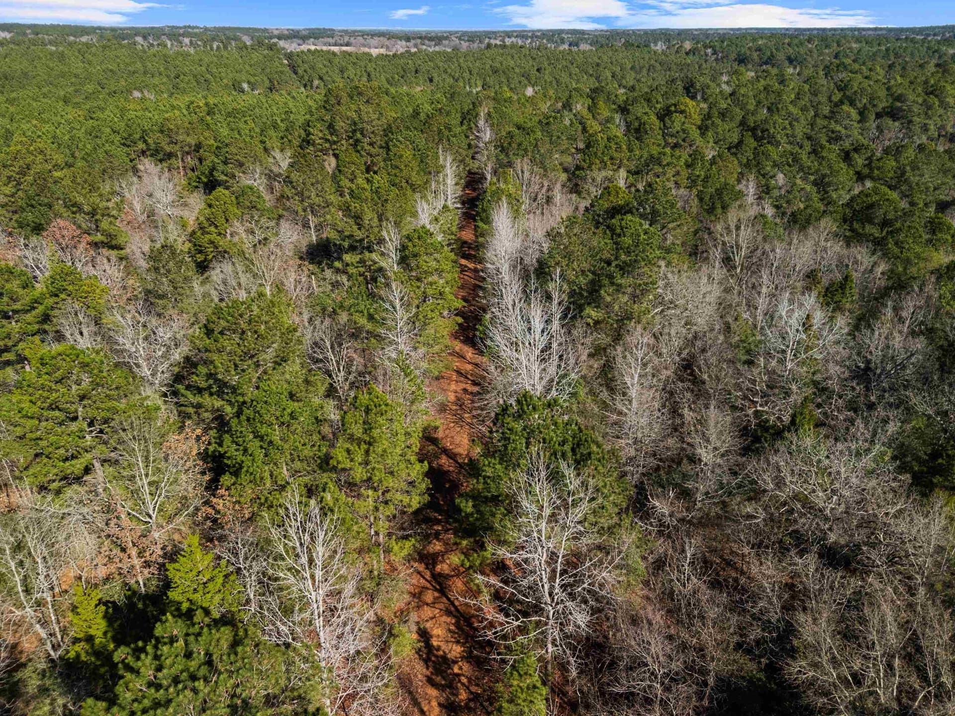 54.75 acres in Rusk County - photo 19