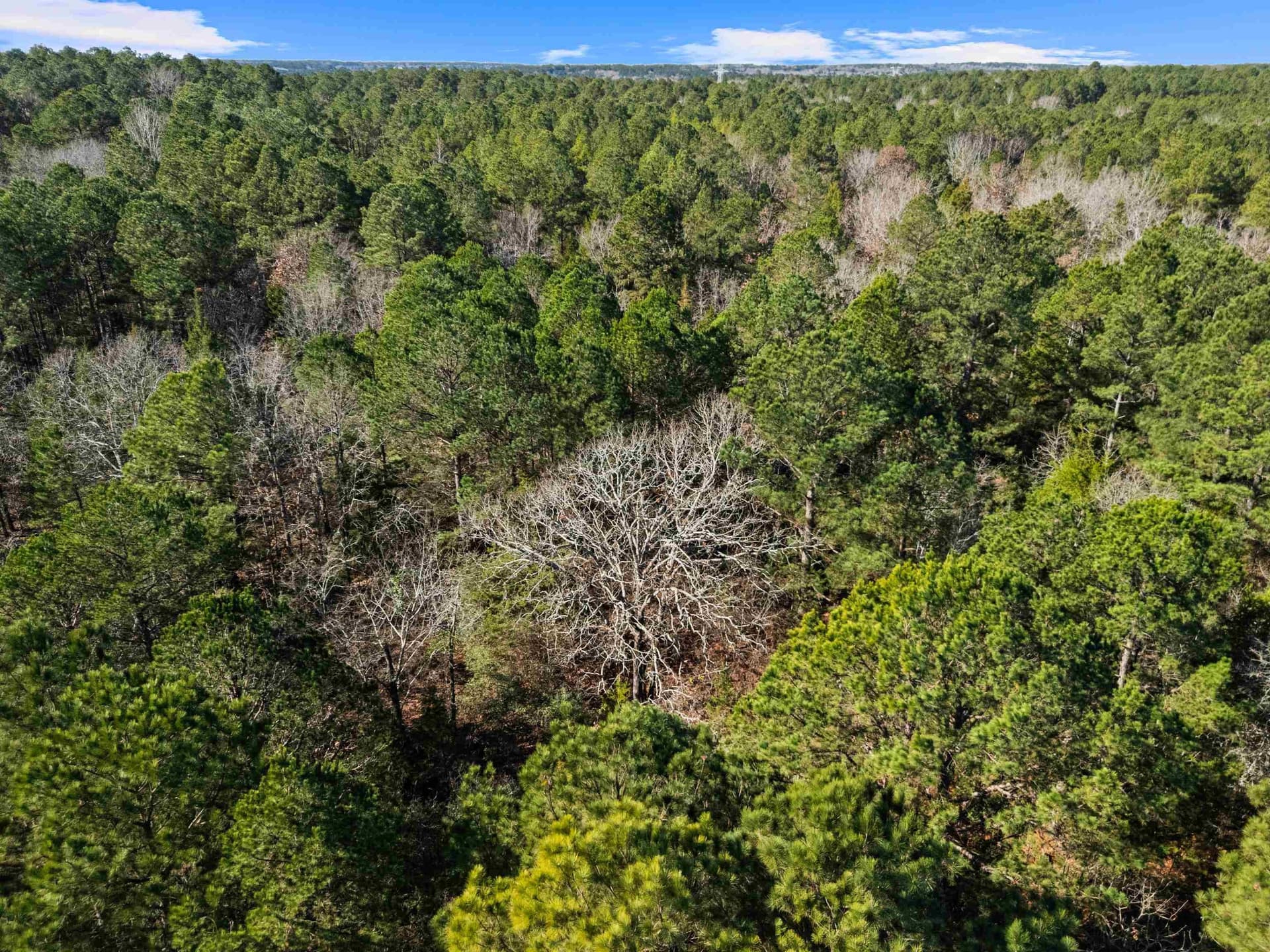 54.75 acres in Rusk County - photo 20