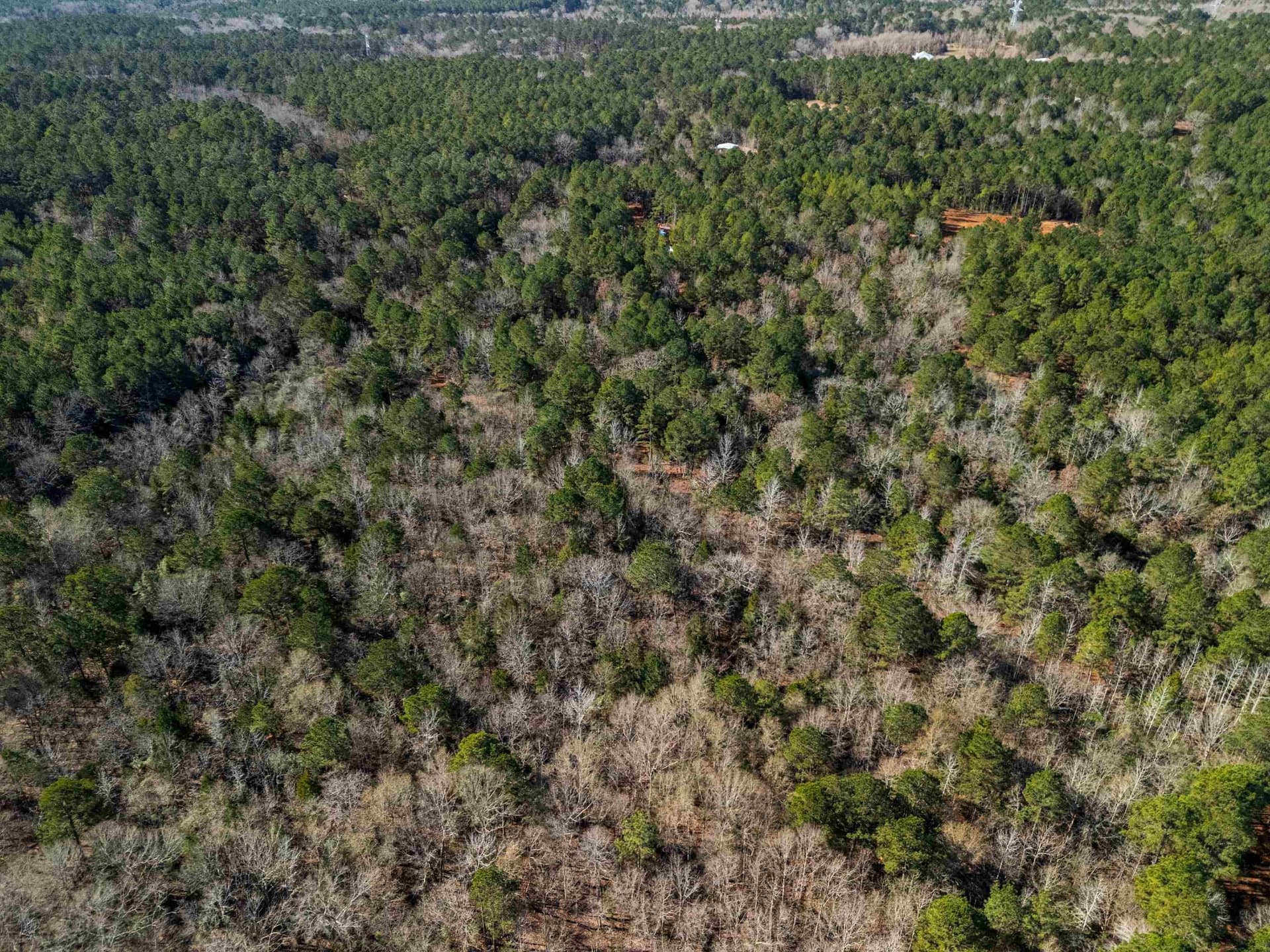 54.75 acres in Rusk County - photo 21