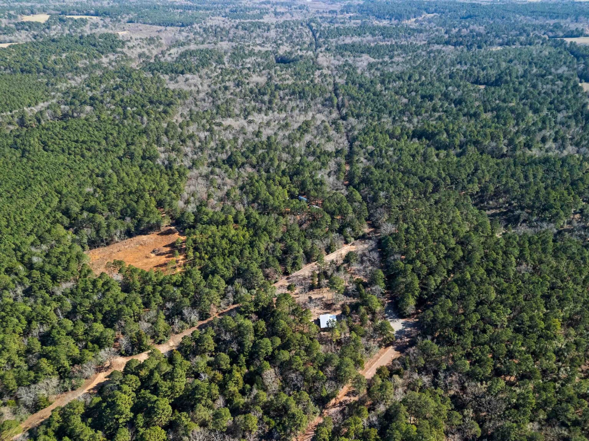 54.75 acres in Rusk County - photo 5
