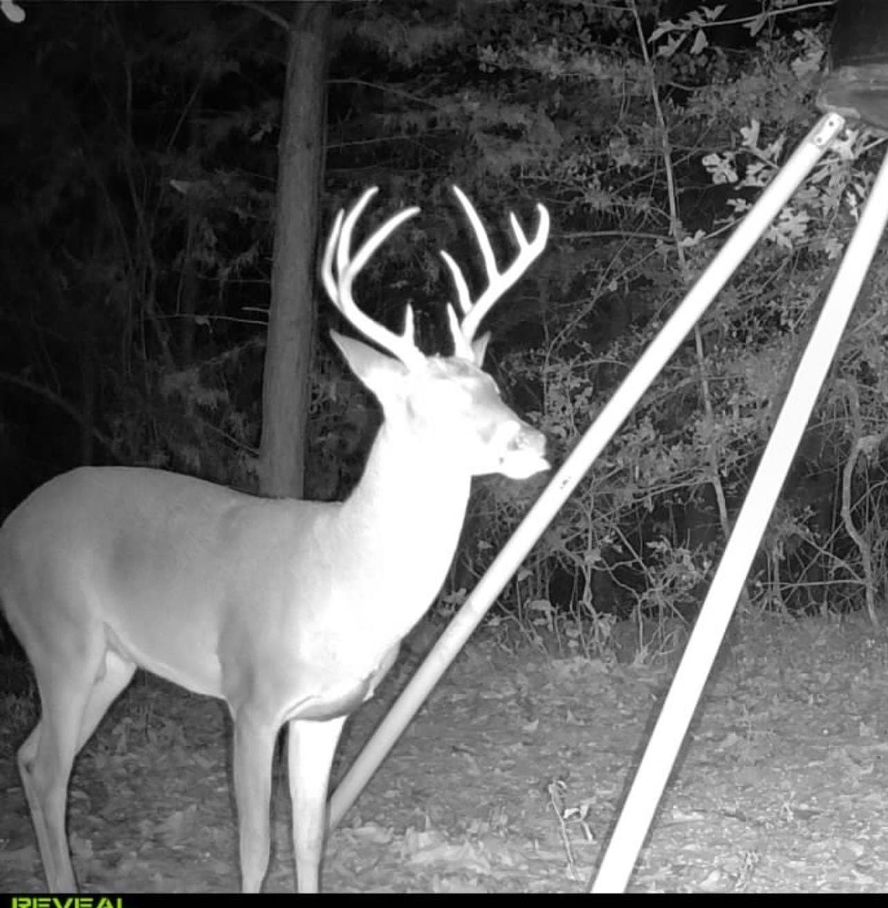 54.75 acres in Rusk County - photo 27
