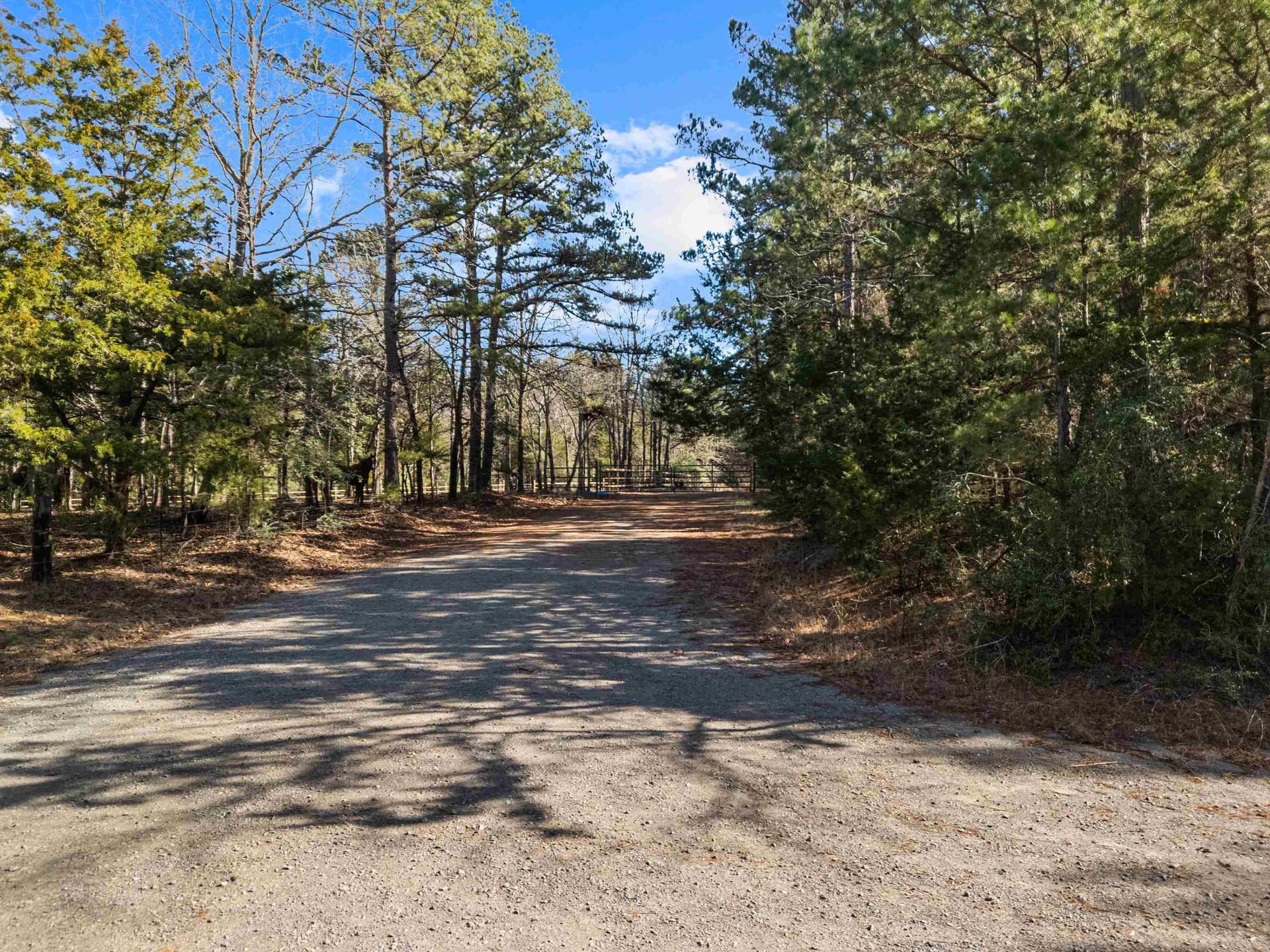 54.75 acres in Rusk County - photo 6