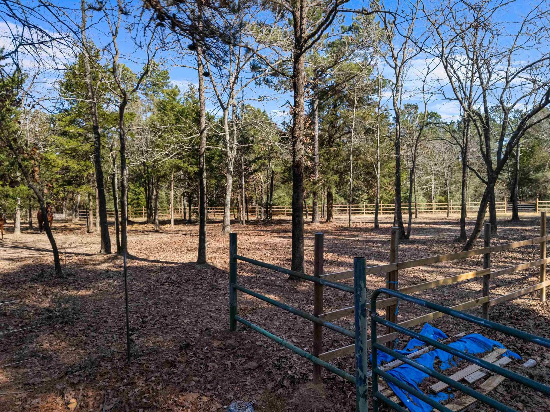 54.75 acres in Rusk County - photo 7