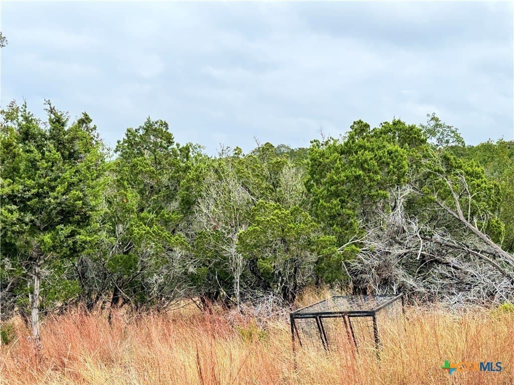 100 acres in Kerr County - photo 16