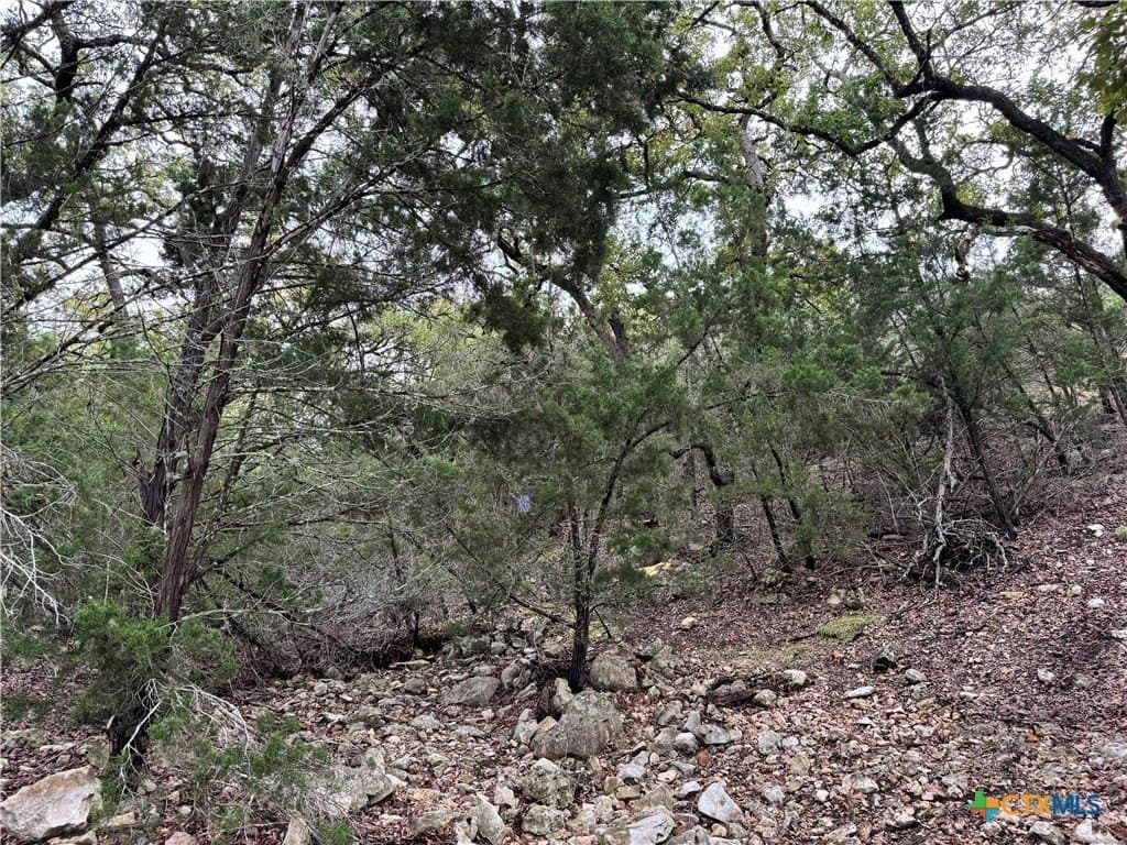 100 acres in Kerr County - photo 20