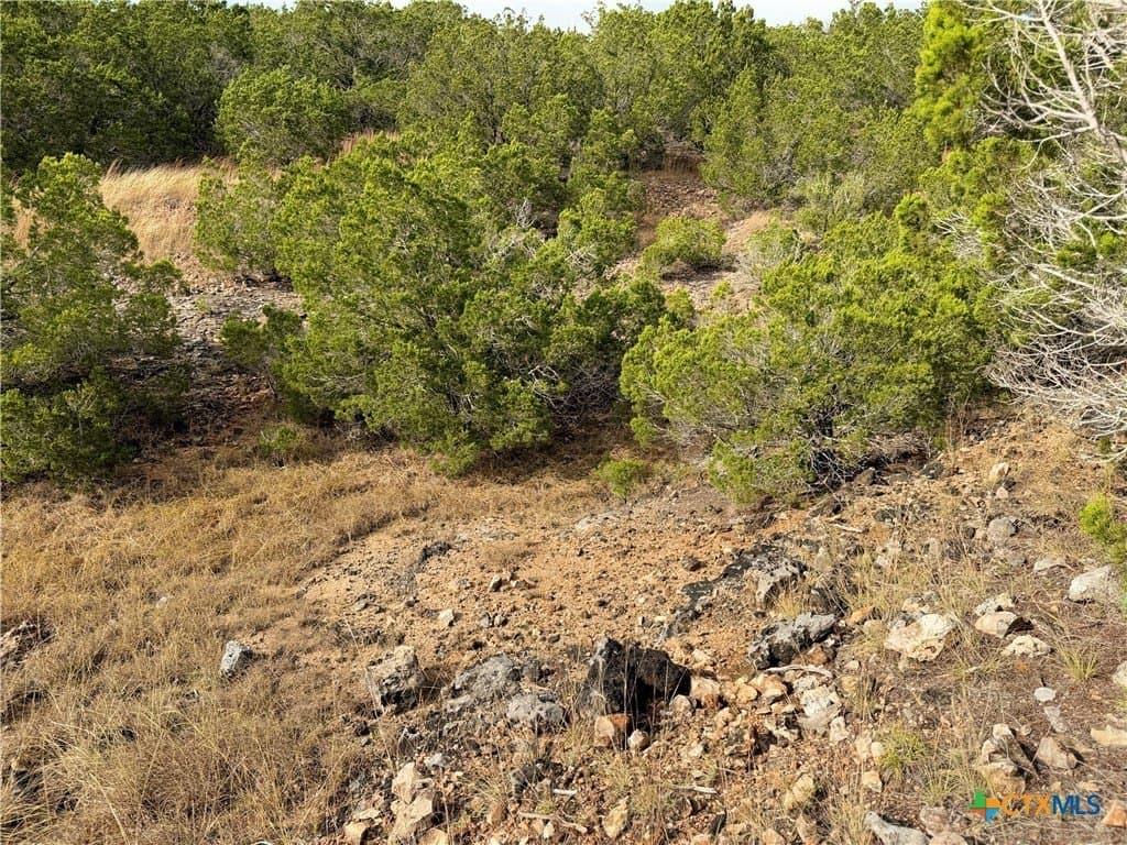 100 acres in Kerr County - photo 33