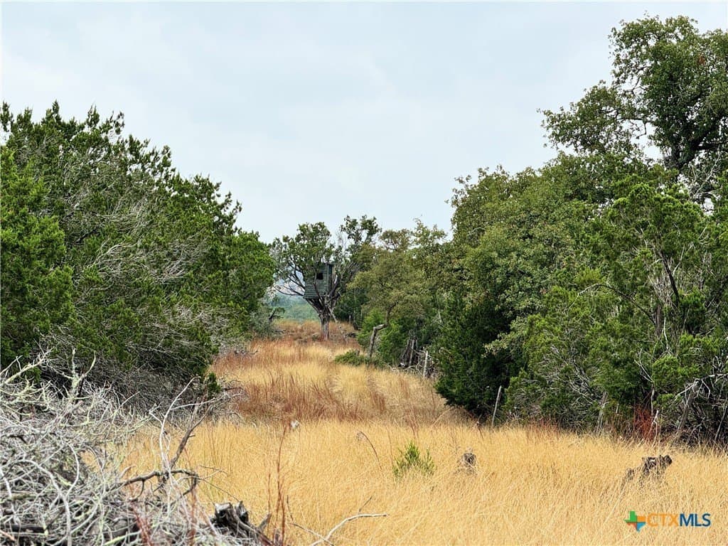 100 acres in Kerr County - photo 9