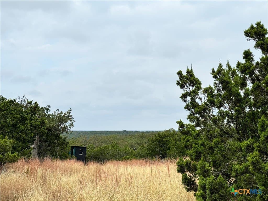 100 acres in Kerr County - photo 13