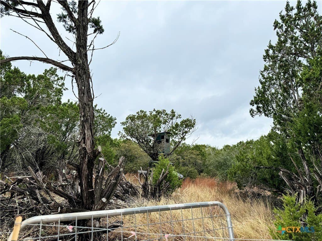 100 acres in Kerr County - photo 4