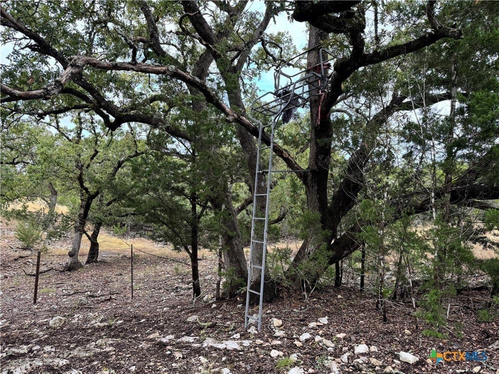 100 acres in Kerr County - photo 18