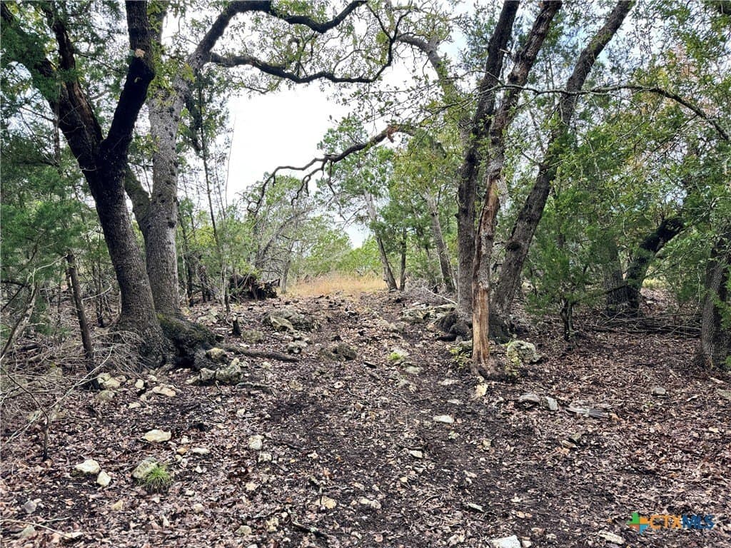 100 acres in Kerr County - photo 22
