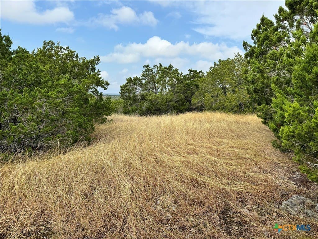 100 acres in Kerr County - photo 28