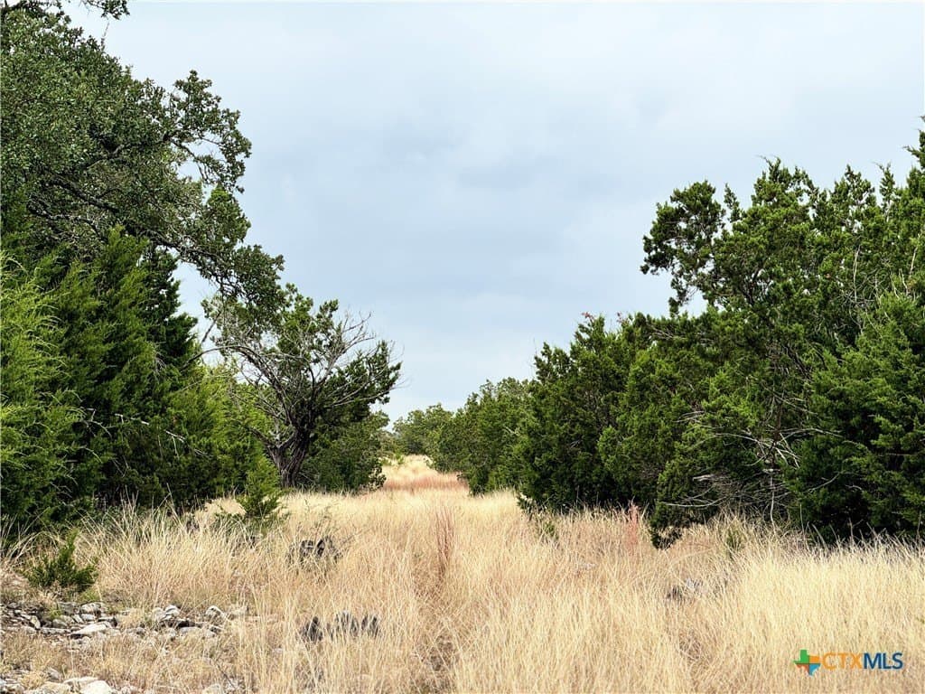 100 acres in Kerr County - photo 10