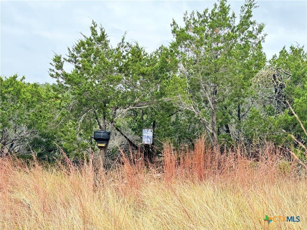 100 acres in Kerr County - photo 15