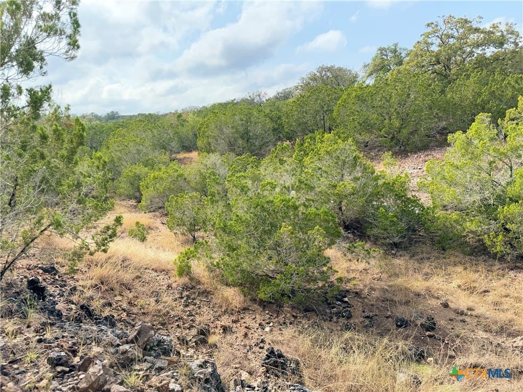 100 acres in Kerr County - photo 34