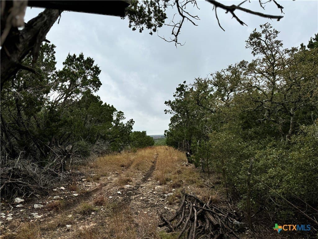 100 acres in Kerr County - photo 7