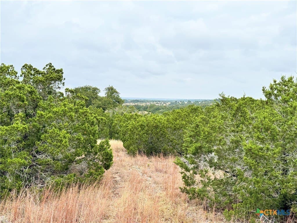 100 acres in Kerr County - photo 11