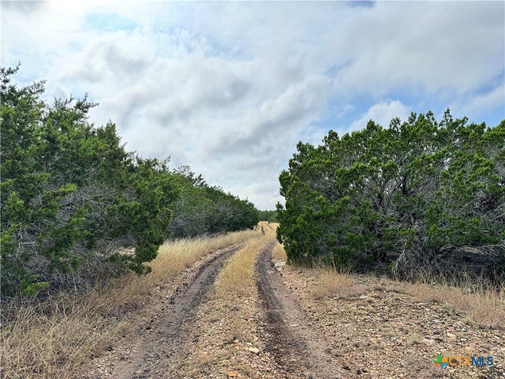 100 acres in Kerr County - photo 26