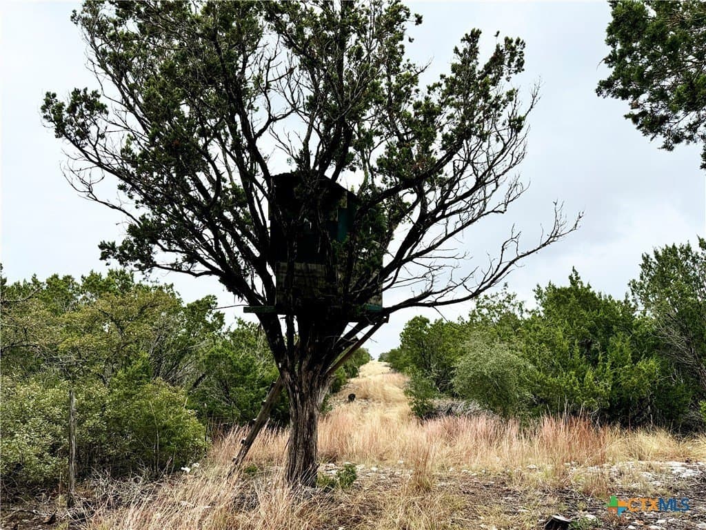 100 acres in Kerr County - photo 3