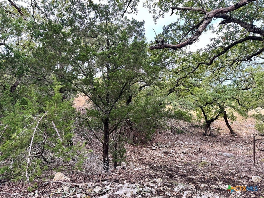 100 acres in Kerr County - photo 23