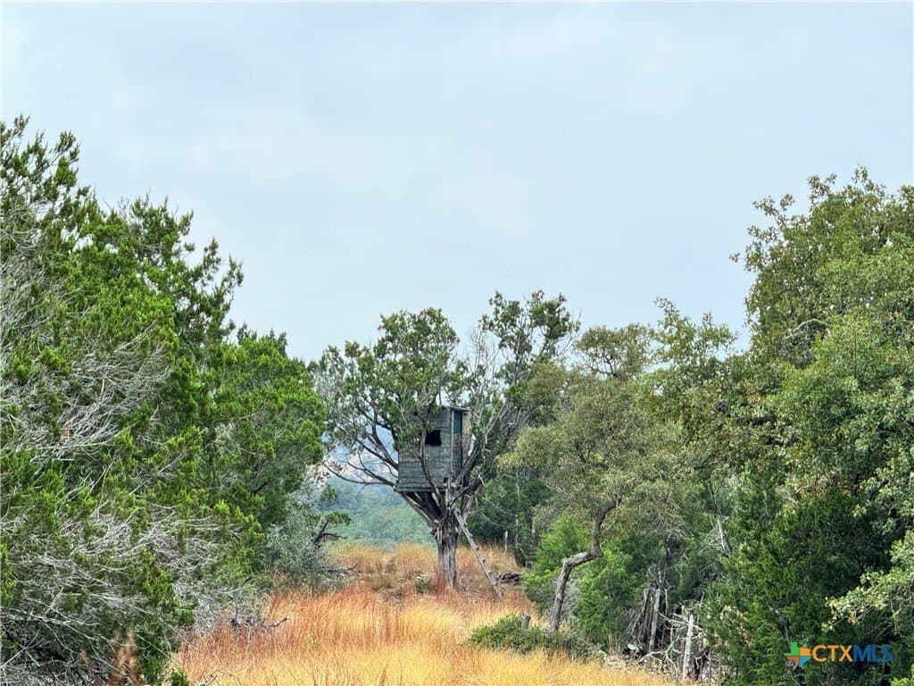 100 acres in Kerr County - photo 8