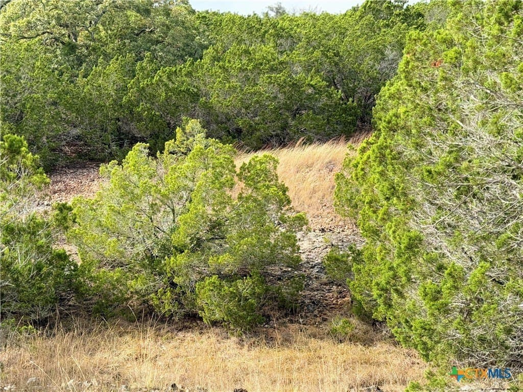 100 acres in Kerr County - photo 32