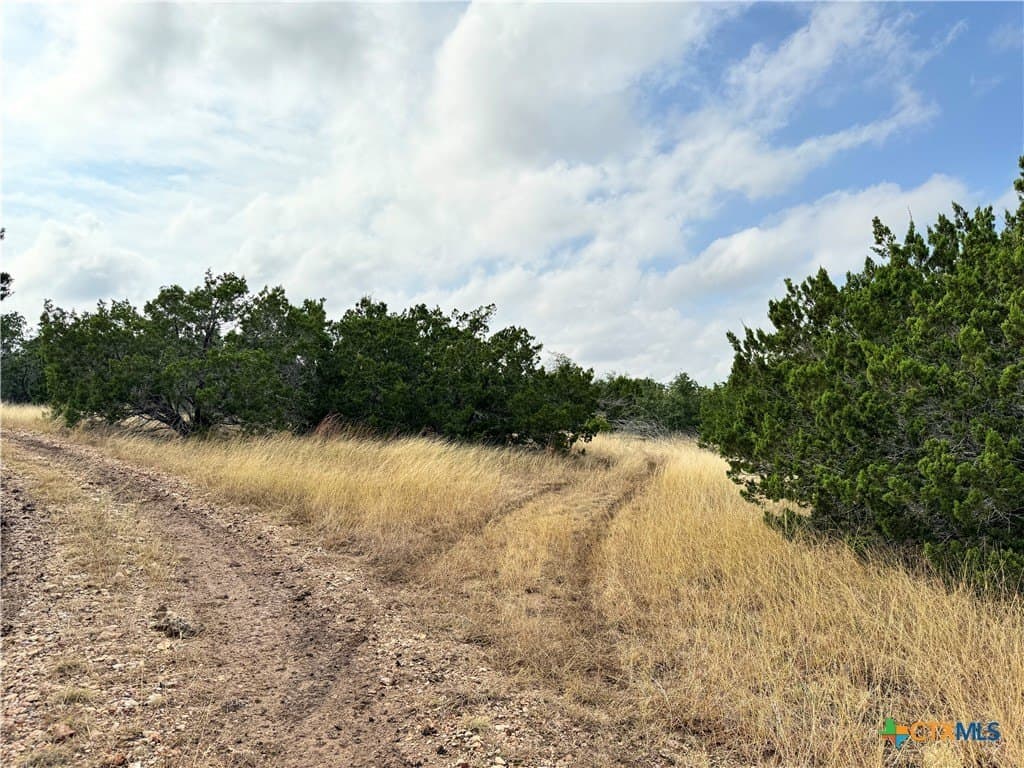 100 acres in Kerr County - photo 29