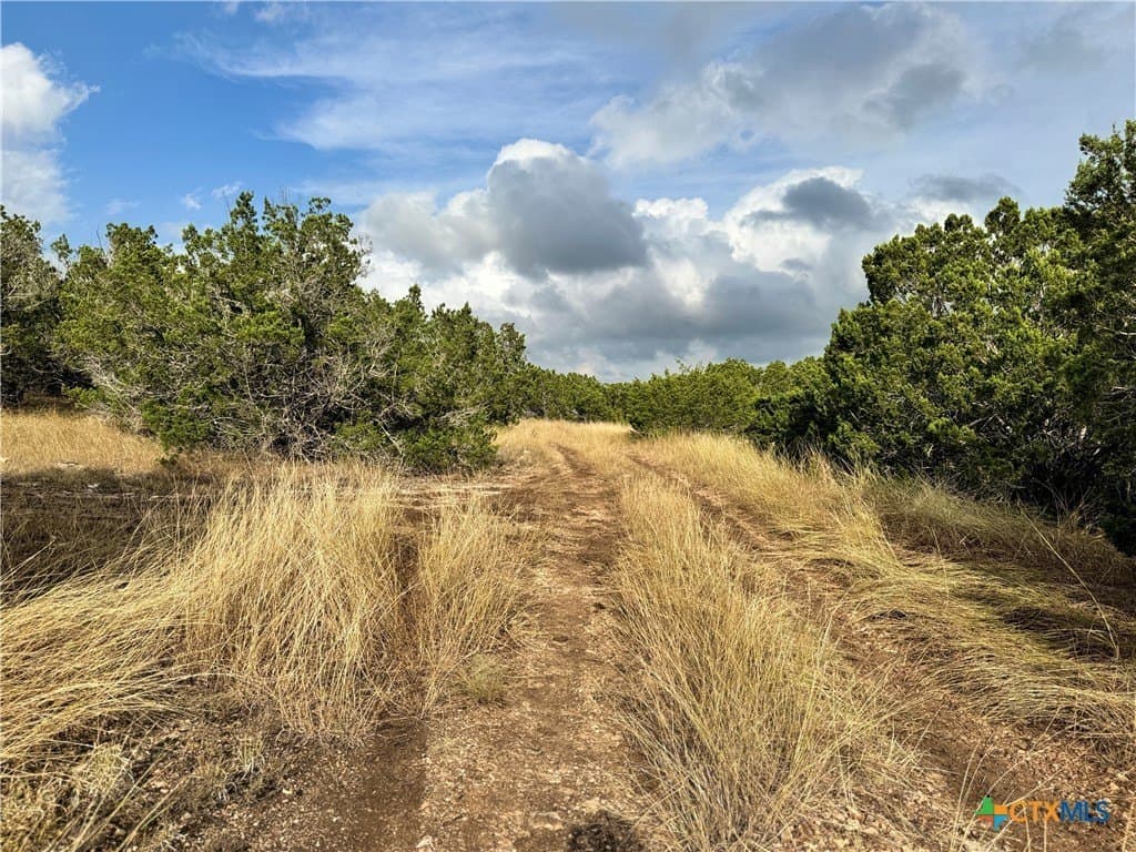 100 acres in Kerr County - photo 38