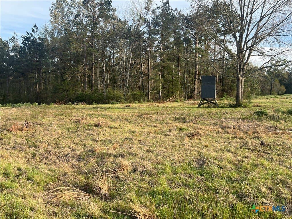 61.18 acres in Rusk County - photo 19