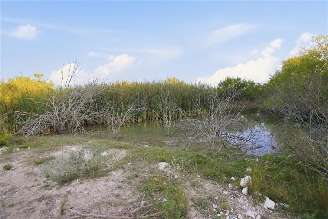 39.23 acres in Duval County - photo 4