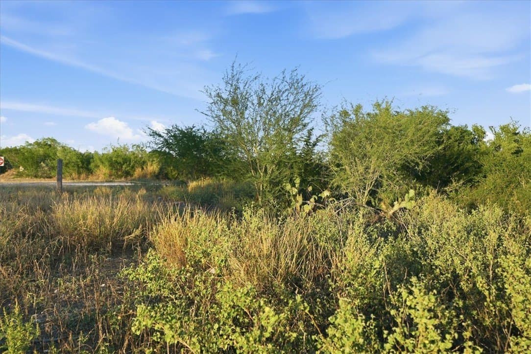 39.23 acres in Duval County - photo 8