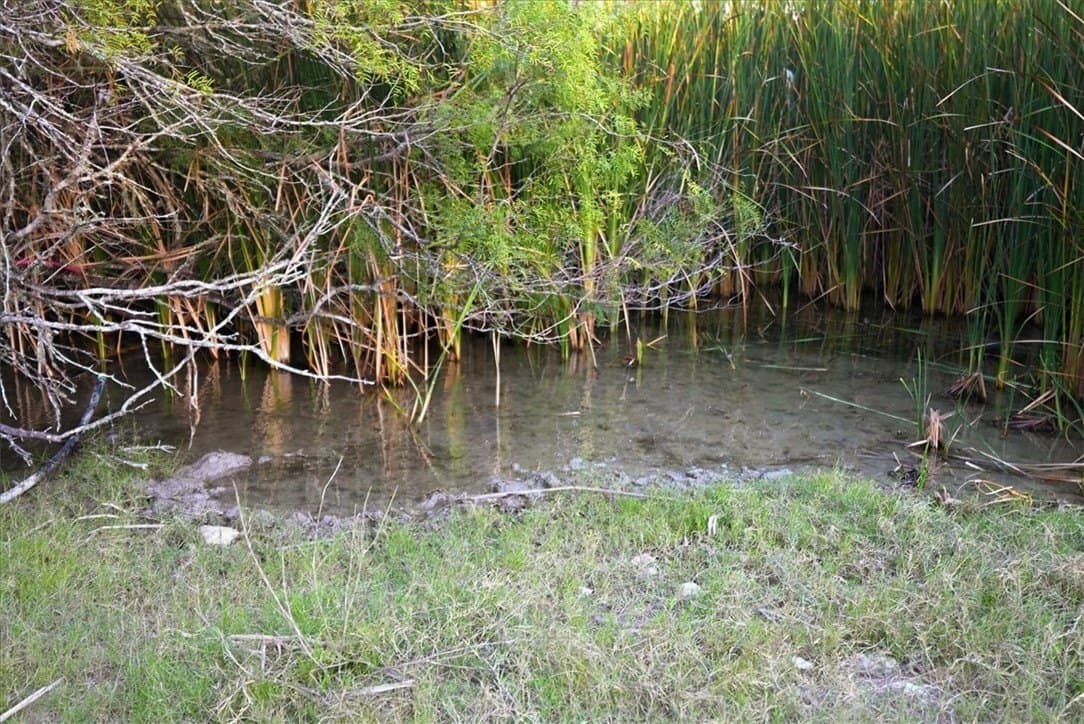 39.23 acres in Duval County - photo 6