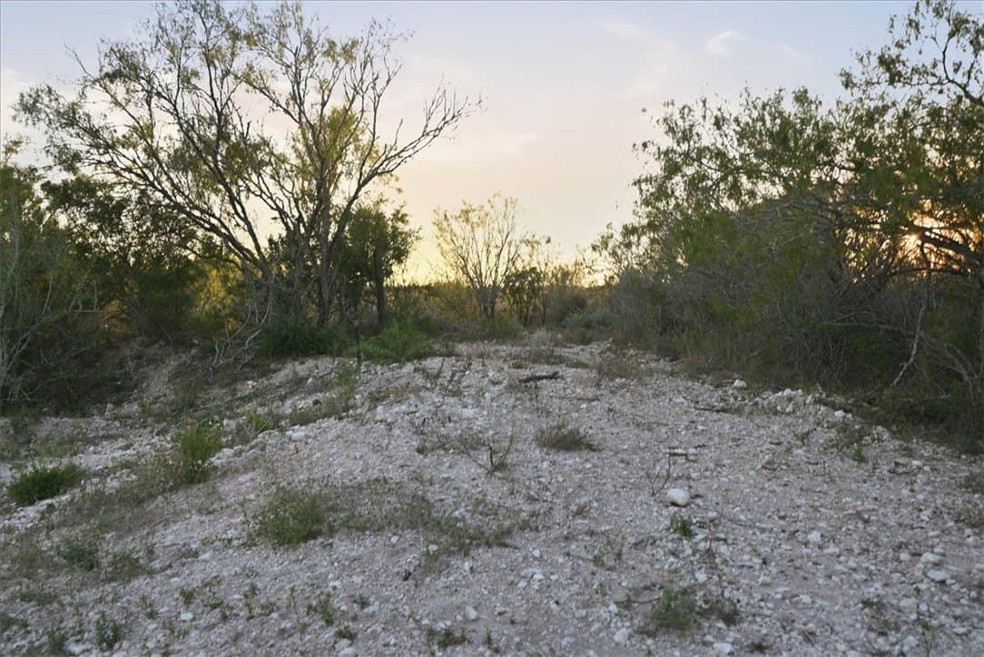 39.23 acres in Duval County - photo 12
