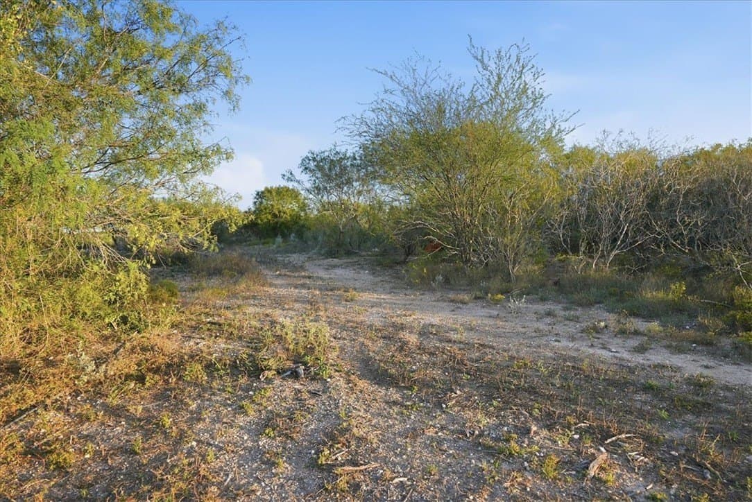 39.23 acres in Duval County - photo 15