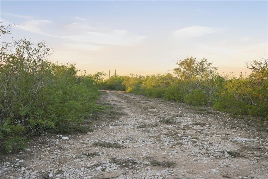 39.23 acres in Duval County - photo 17
